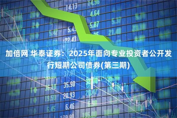 加倍网 华泰证券：2025年面向专业投资者公开发行短期公司债券(第三期)