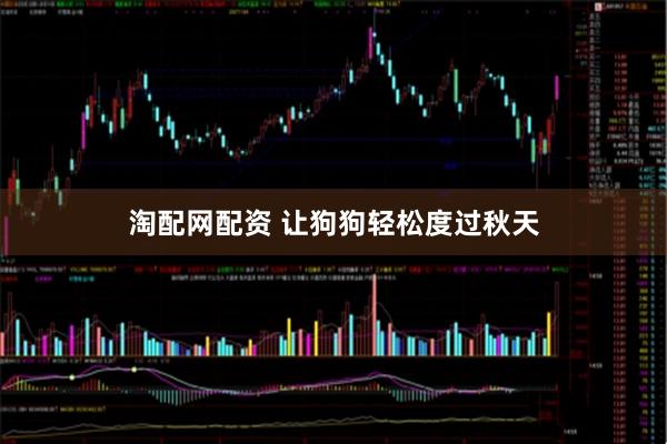 淘配网配资 让狗狗轻松度过秋天