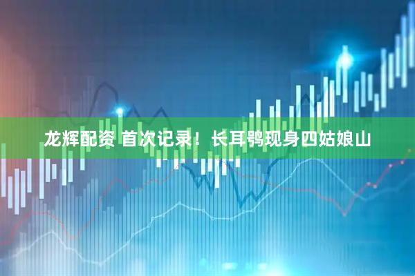 龙辉配资 首次记录！长耳鸮现身四姑娘山