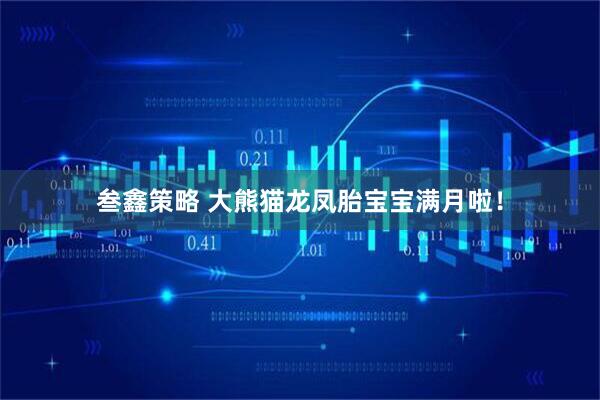 叁鑫策略 大熊猫龙凤胎宝宝满月啦！