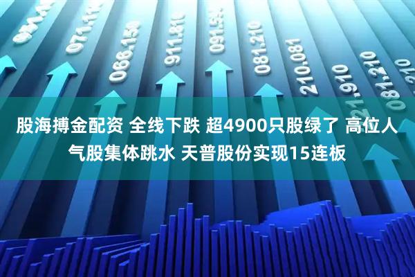 股海搏金配资 全线下跌 超4900只股绿了 高位人气股集体跳水 天普股份实现15连板
